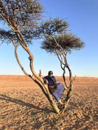 Unforgetable Sand Dune Holiday