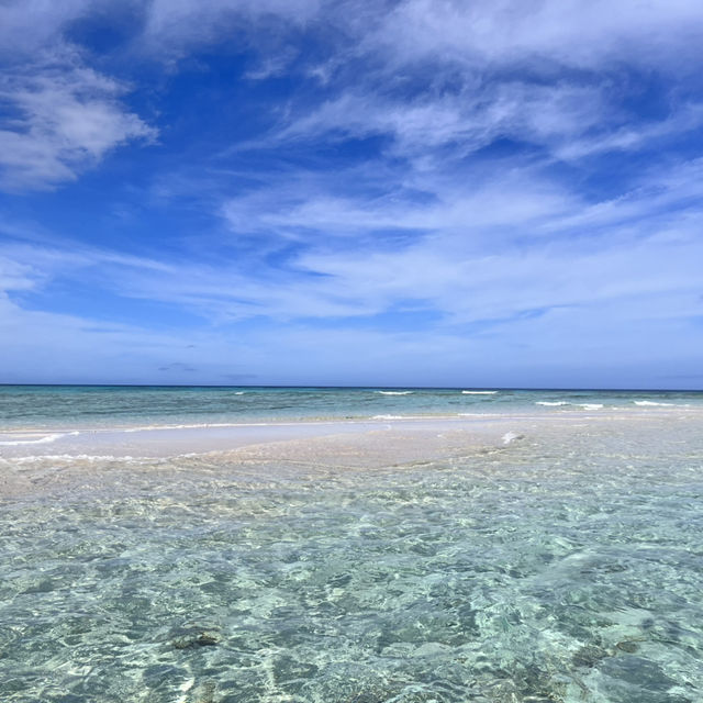 【与論島】絶景の百合が浜に会いに、与論島へ🏝️✨