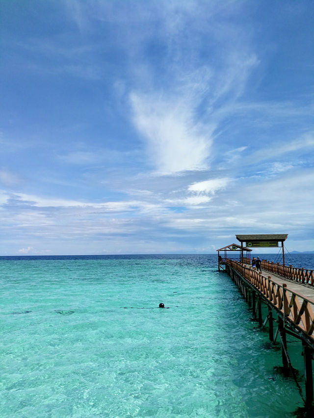 When the Ocean Stole My Heart: First Dive at Sipadan