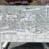 假日勝尾寺-達摩