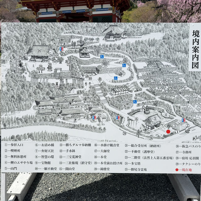 假日勝尾寺-達摩