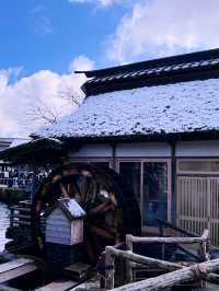 ［東京旅行］忍野八海-富士山旁的人間仙境☁️