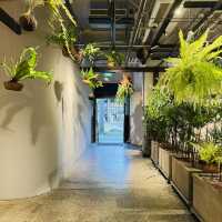 From Drink to Decor – SunnyHills Style
