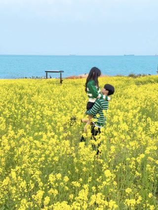 A destination where you can capture the sea and golden waves in one view.
