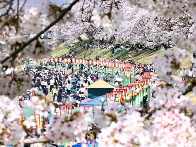 Okayama – Where Castles, Gardens & Legends Bloom
