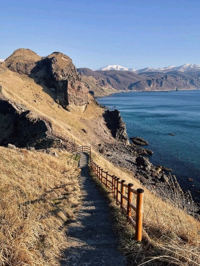 徜徉北海道的積丹藍-神威岬 Cape Kamui