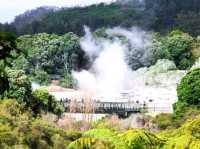 #波胡圖間歇噴泉Pohutu Geyser -紐西蘭羅託魯瓦