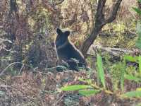 🌿 Rhyll Inlet Weekend Escape: 2 Days of Nature & Relaxation