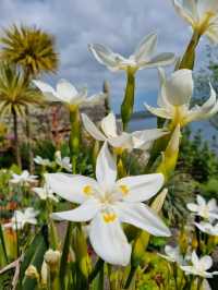 St Michael’s Mount – A Tidal Journey into Myth and Majesty
