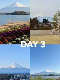 Chill 3D2N with Mount Fuji in April 🌸🗻