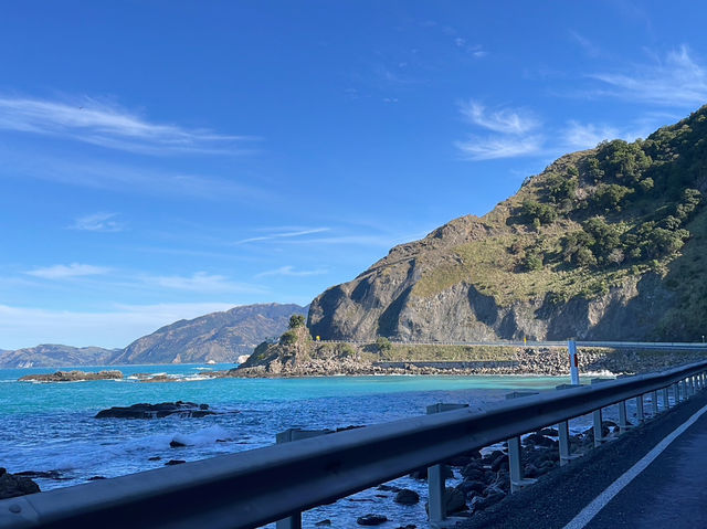 一頓龍蝦早餐開啟南島的藍｜Kaikoura 海岸半日小旅行