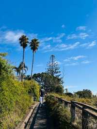 奧克蘭 Murrays Bay｜Churchill Reserve 海邊步道輕散策