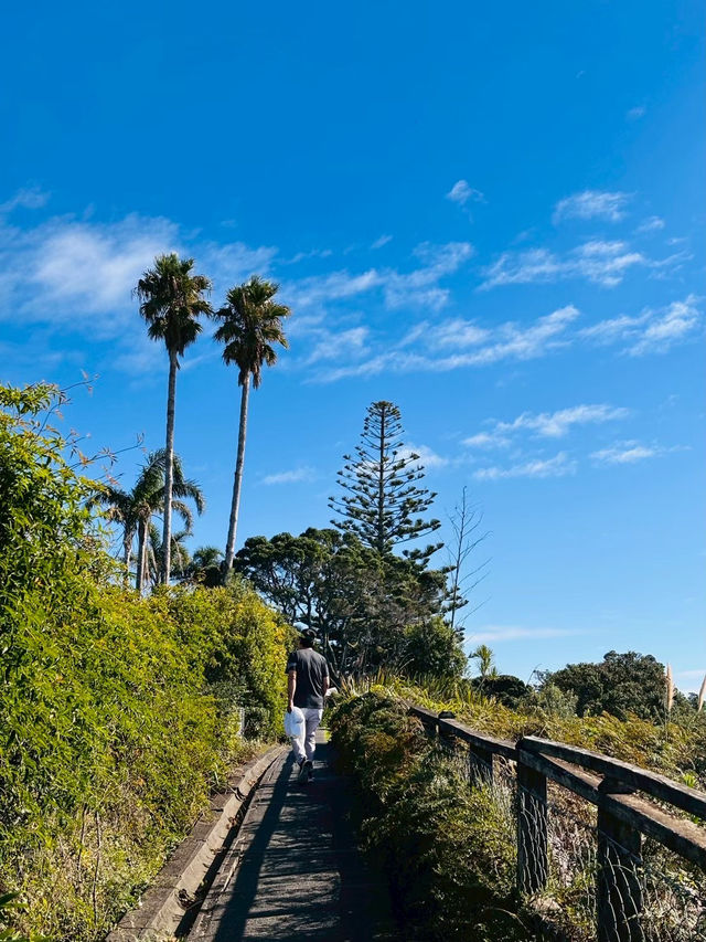 奧克蘭 Murrays Bay｜Churchill Reserve 海邊步道輕散策