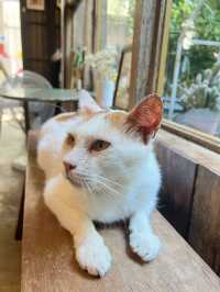 หมู่บ้านชาว COLUMBO CRAFT-VILLAGE  🌧️