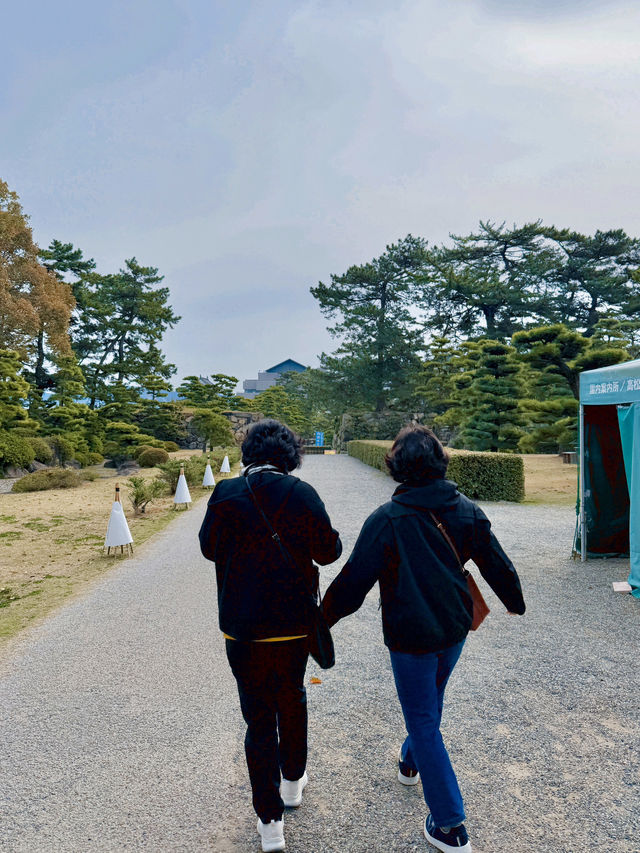 다카마쓰 무료 전망대 🇯🇵