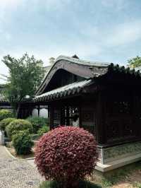 เดินเล่นในประวัติศาสตร์กลางเมืองหนานจิง