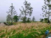 The Gand Homestay เหมาะสำหรับผู้ที่ชอบความสงบสบาย