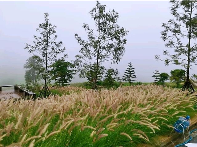 The Gand Homestay เหมาะสำหรับผู้ที่ชอบความสงบสบาย