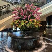 5 star Grand Hyatt Hong Kong