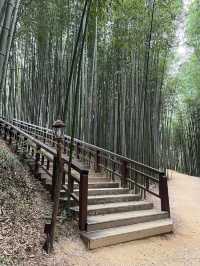 Juknokwon – Bamboo Serenity in Damyang