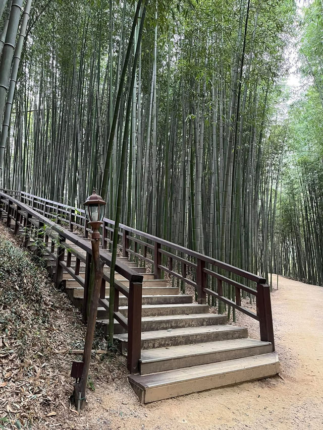 Juknokwon – Bamboo Serenity in Damyang