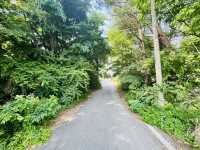 Hidden Gem Near Camp Humphreys