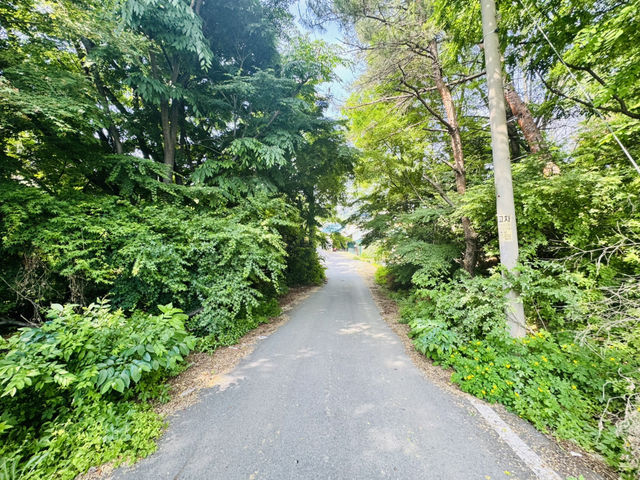 Hidden Gem Near Camp Humphreys