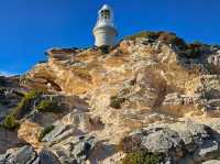A Perfect Escape to Rottnest Island