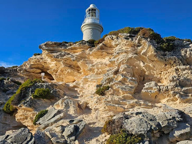 A Perfect Escape to Rottnest Island