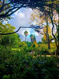Arderne Gardens: Romance and Roots in Cape Town’s Leafy South