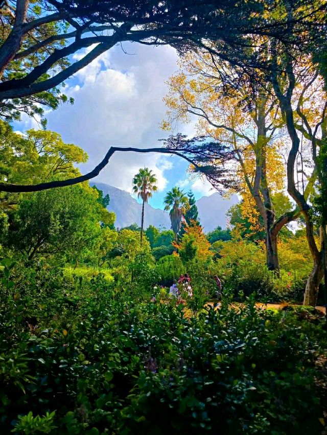 Arderne Gardens: Romance and Roots in Cape Town’s Leafy South