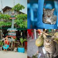 ภูเก็ต 2 วัน 1 คืน
