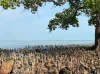 Day Trip from KL/PJ to Port Dickson & Tanjung Tuan!