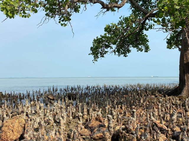 Day Trip from KL/PJ to Port Dickson & Tanjung Tuan!