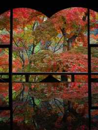 🍁ซักครั้งในชีวิต ฤดูใบไม้เปลี่ยนสี ต้องมาที่นี่!🍂