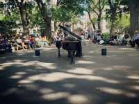 Washington Square : Heart with a Soul