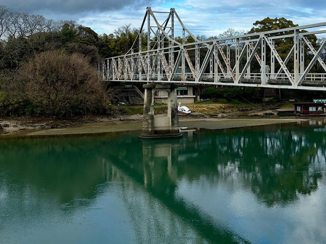 🏮✨ Kurashiki Bikan Weekend Escape: A Journey Through Edo-Period Japan