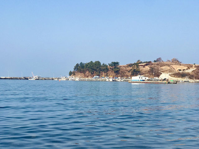 경주 감성 당일치기✨ 감포항부터 안압지 야경까지 알찬 코스
