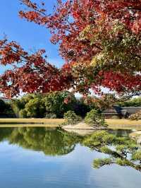 A Slow and Serene Day at Okayama Korakuen Garden