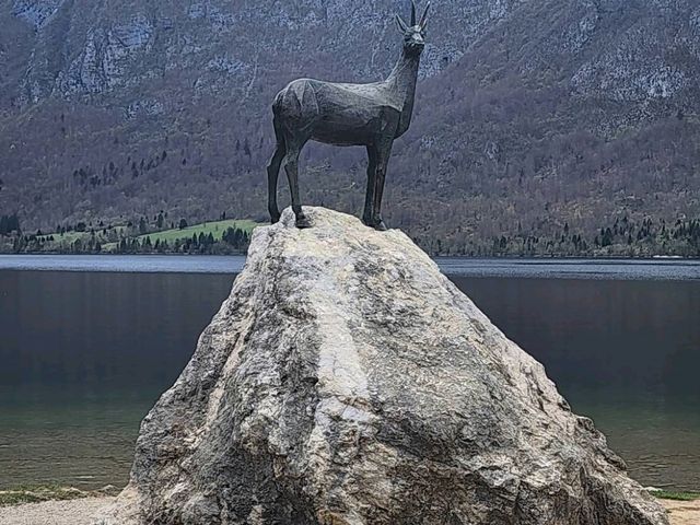 Lake Bohinj 