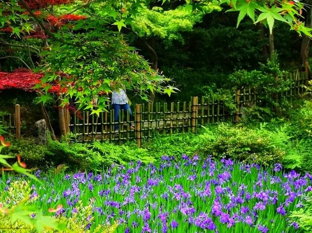 Nezu Museum – Where Art, Architecture, and Nature Meet in Harmony