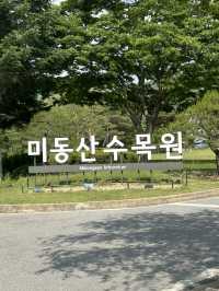 🌲 자연과 함께하는 힐링 교육의 장, 충북 산림환경연구소 (미동산수목원)