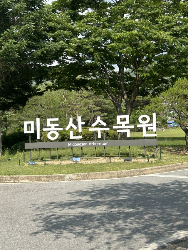 🌲 자연과 함께하는 힐링 교육의 장, 충북 산림환경연구소 (미동산수목원)