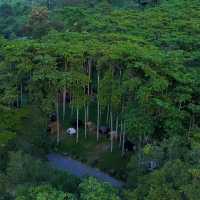 nawana camping ground saraburi 