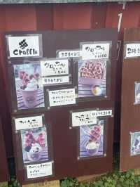 観光客は知らない！？宮古島穴場カフェ  