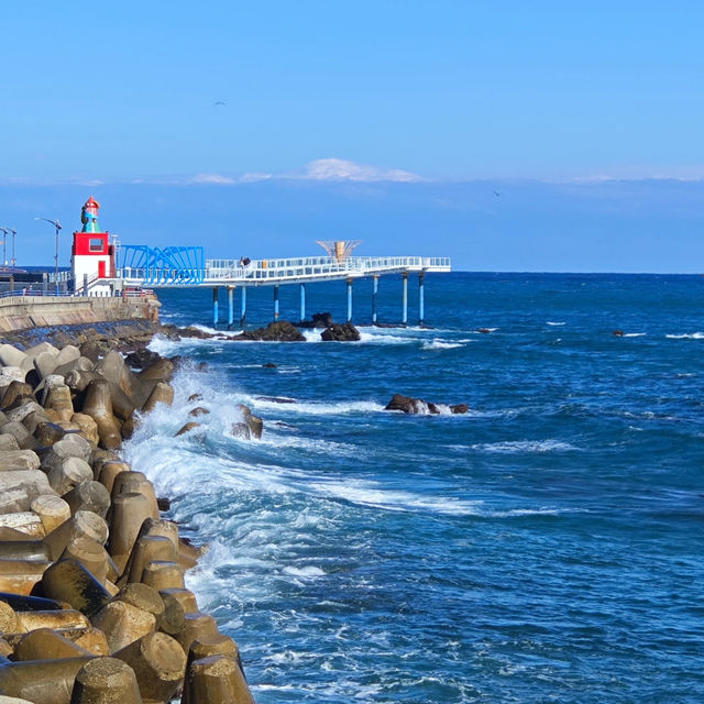 🌊 Hidden Coastal Gem in Korea | Mukho Port, Gangwon-do 🎣📸