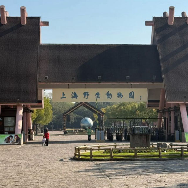 【中国/上海/上海野生動物園】希少な野生動物を見に行こう！