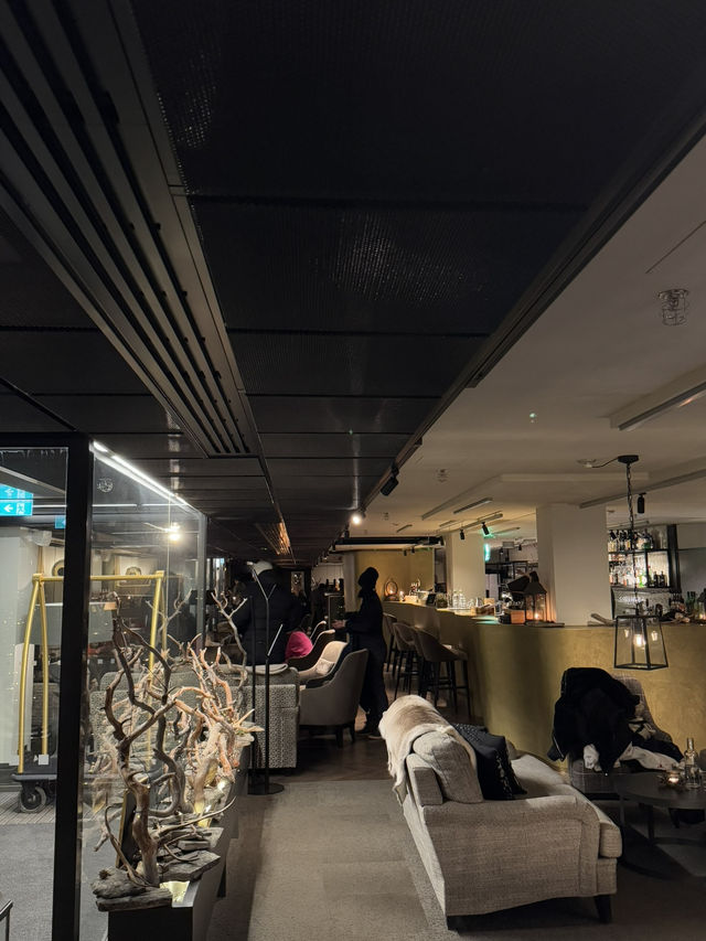 【フィンランド🇫🇮】部屋にサウナ！ヘルシンキおすすめホテル🏨