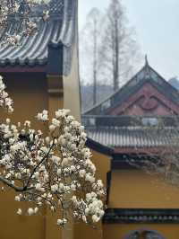 The spring in Faxi Pagoda