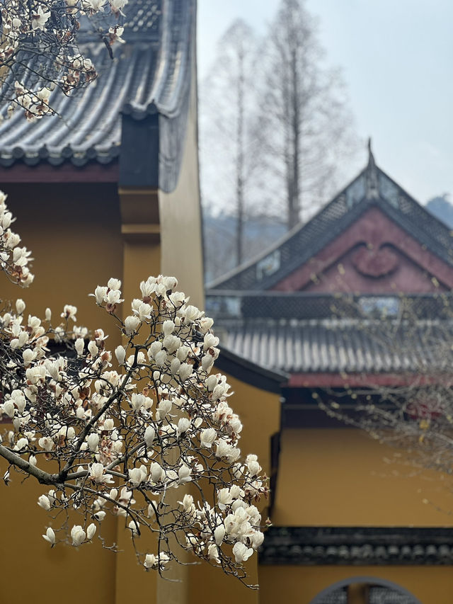The spring in Faxi Pagoda